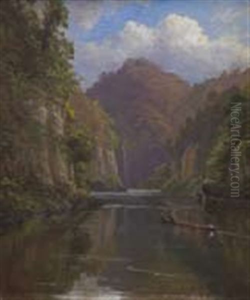 The Drop Scene, Whanganui River - view 1