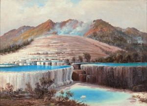 The Pink Terraces by Charles Blomfield