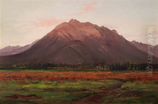 Te Aroha - Evening - view 1