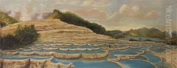 Pink And White Terraces - view 1