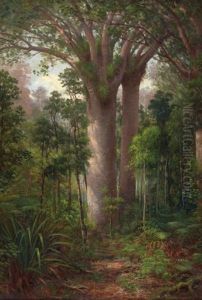 Kauri Park Kaipara Kauri Park Kaipara