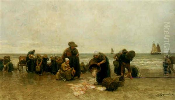 Examining The Catch - view 1