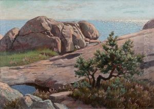 Sunny Cliffs by Vaeinoe Alfred Blomstedt