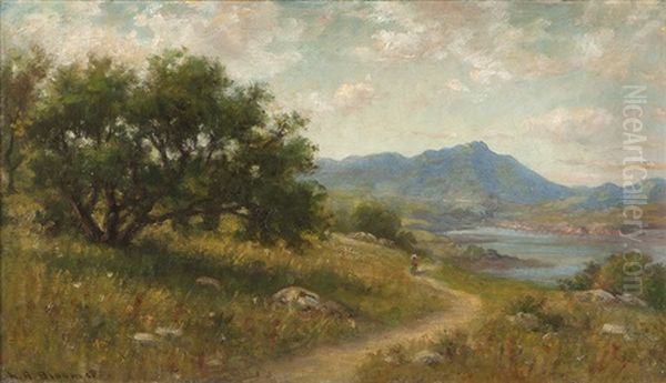 Figure Walking Through A California Landscape - view 1