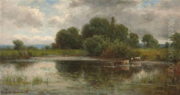 Cows And Creek (marin County?) - view 1
