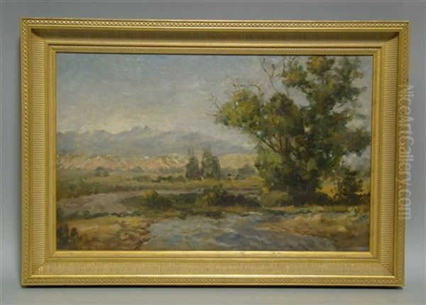 California Landscape - view 1