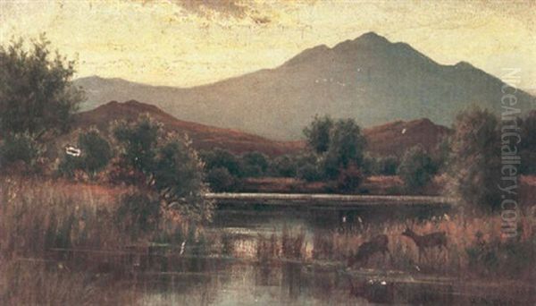 Deer Watering In A Mountainous Landscape - view 1
