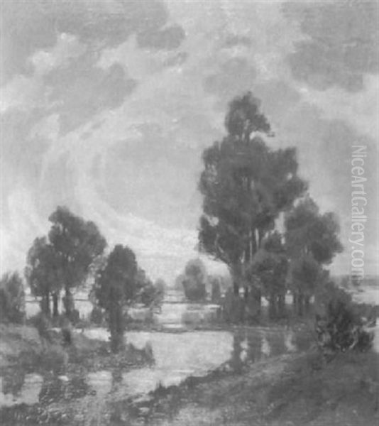 Abend Am Altrhein - view 1