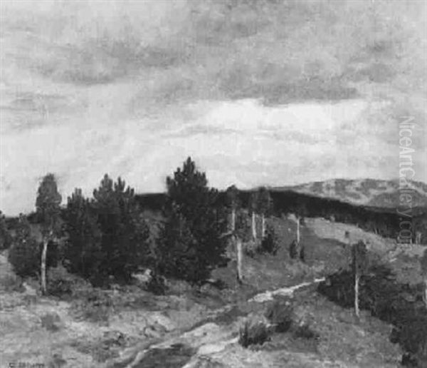 Zwischen Halden, Wiedener Eck Und Belchen - view 1