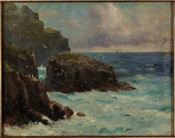 Gabbiani Sul Mare - view 1