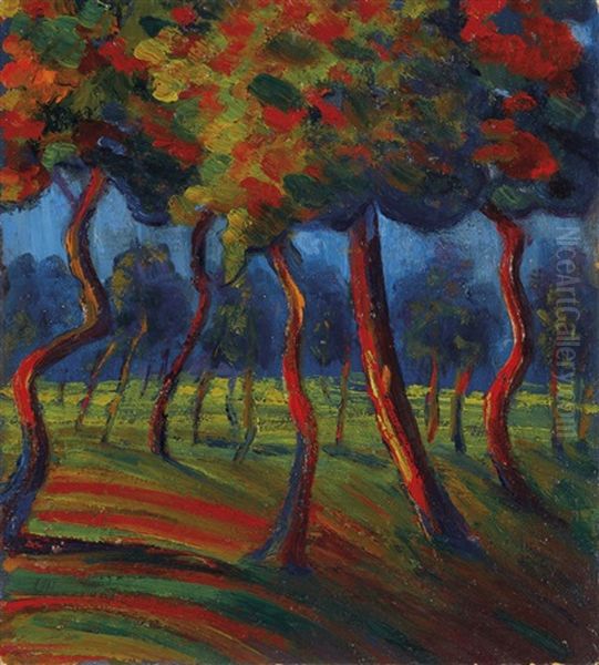 Paesaggio - view 1