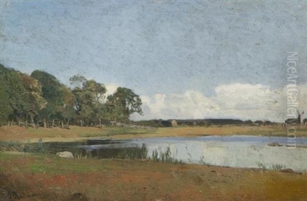 Bosmeer - view 1