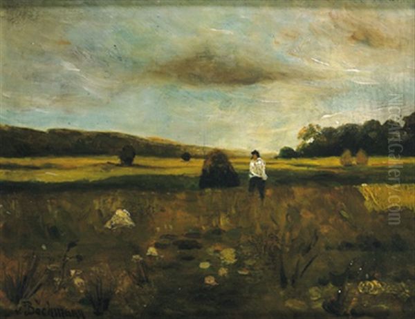 Estlandische Landschaft Mit Heuhaufen Und Bauer - view 1