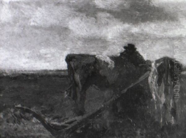 Bauer Mit Ochsengespann Vor Dem Pflug - view 1