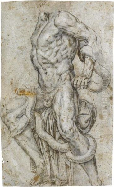 : Study After The Laocoon - view 1