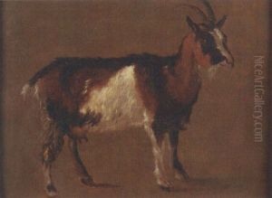 Ziege Ziege