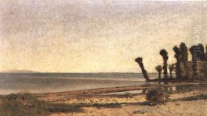 La Plage De Dorigny