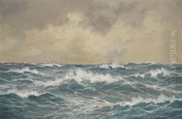 Bei Kap Skagen - view 1