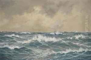 Bei Kap Skagen by Adolf Georg Friederich Bock