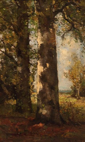 The Birch Forest - view 1