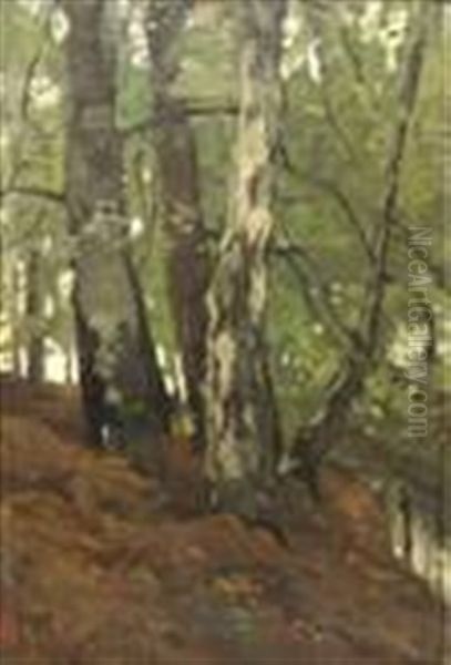 Forest View With A Stream - view 1