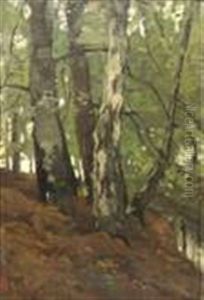 Forest View With A Stream by Theophile Emile Achille De Bock