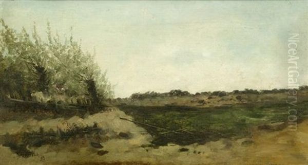 Dunenlandschaft - view 1