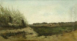 Dunenlandschaft Dunenlandschaft