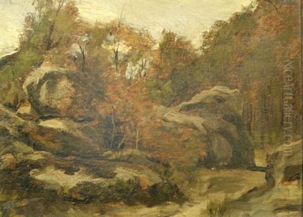 Rocky Landscape - view 1