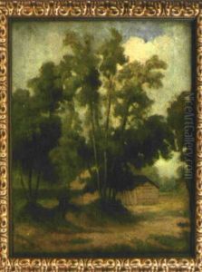 Waldlandschaft Mit Holzschuppen