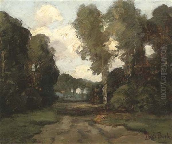 A Forest Road - view 1