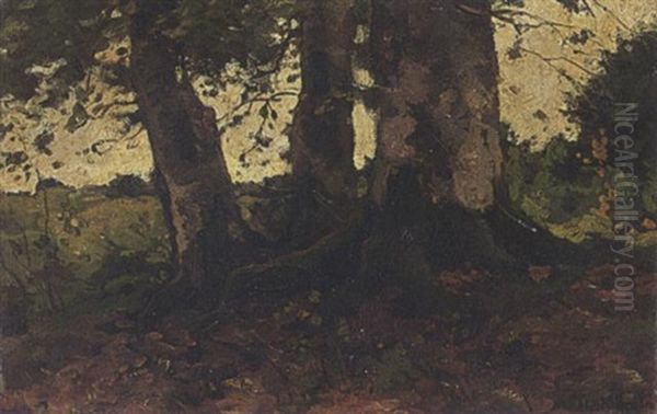 Wooded Landscape - view 1