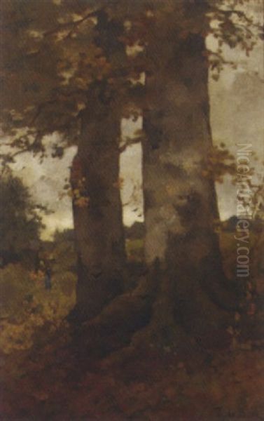 Boomen: Birch Trees By A Forest Clearing - view 1