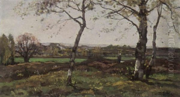 A Landscape With Birch Trees - view 1