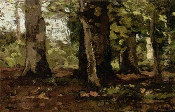 Wooded Landscape - view 1
