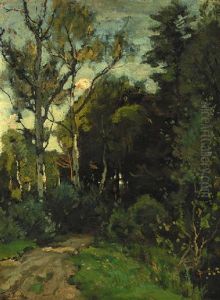 A Sunlit Birch Forest A Sunlit Birch Forest
