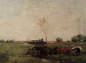Cattle In A Meadow