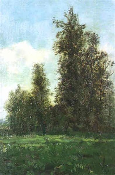 A Wooded Landscape - view 1