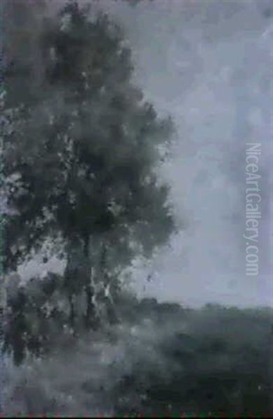 Landschaft Mit Birken - view 1