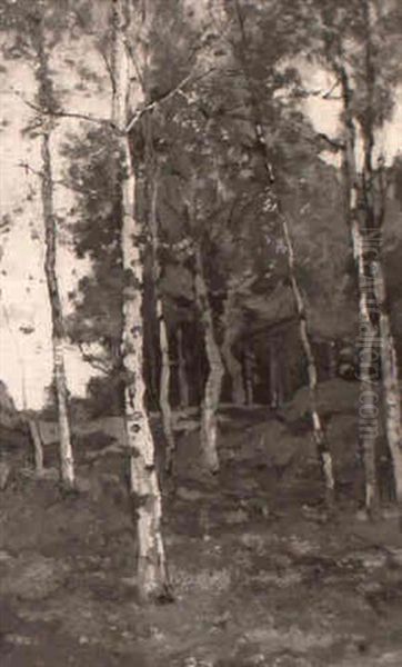 A Wooded Landscape - view 1