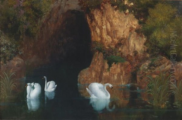 Swan Grotto - view 1