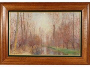Bord De Vesle En Hiver