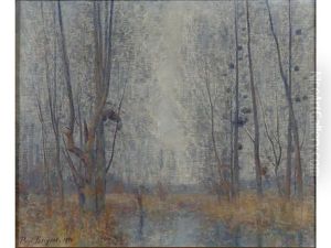 Bord De Vesle En Hiver