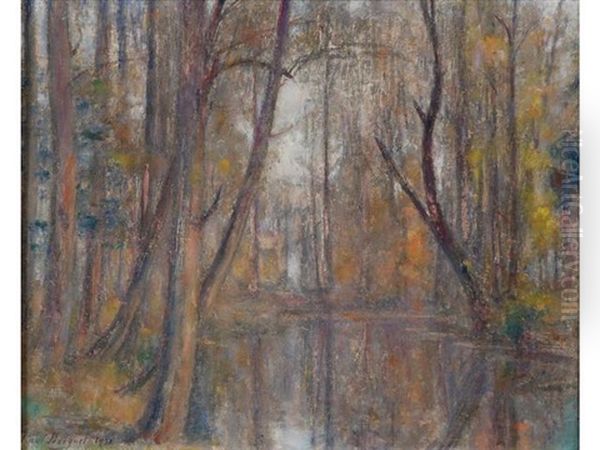 Bord De Vesle En Automne - view 1