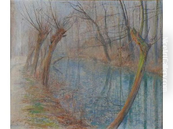 Bord De Vesle En Hiver : Les Saules Sur Le Chemin De Cormontreuil - view 1