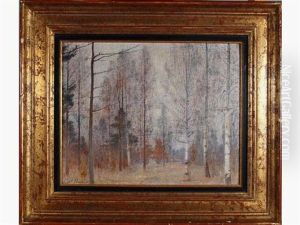 Bouleaux Au Bois De Salut A Jonchery Sur Vesle En Hiver