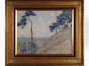 Paysage A La Colline Et Aux Pins Dans L'aisne