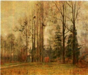 Le Parc En Hiver Le Parc En Hiver