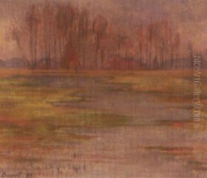 Paysage Apres La Pluie