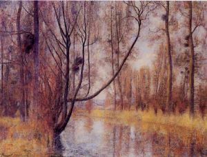 Bords De Vesle, Saules Et Peupliers En Hiver